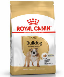 Hạt cho chó Royal Canin thức ăn chó Bulldog trưởng thành