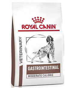 Hạt cho chó Royal Canin thức ăn cho chó bị bệnh tiêu hóa
