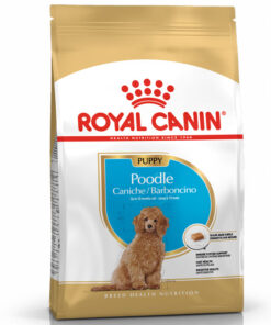 Hạt cho chó Royal Canin thức ăn chó Poodle con