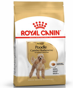 Hạt cho chó Royal Canin thức ăn chó Poodle Trưởng Thành