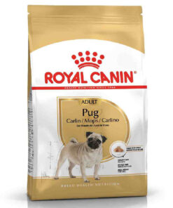 Hạt cho chó Royal Canin thức ăn chó Pug trưởng thành