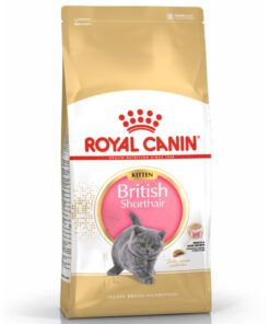 Hạt cho mèo Royal Canin thức ăn cho mèo Anh lông ngắn con