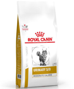 Hạt cho mèo Royal Canin thức ăn cho mèo điều trị sỏi thận