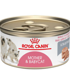 Pate cho mèo Royal Canin thức ăn nhuyễn cho mèo mẹ và sơ sinh