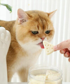 Bánh thưởng phô mai cho chó mèo Monbab thơm ngon với 3 vị